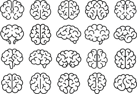 Collection of different brain and neuron vector illustrations Vector