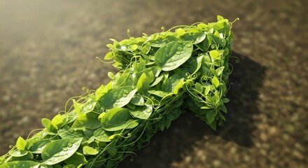 Fototapeta premium Lush green foliage cascade a vibrant wall of climbing plants