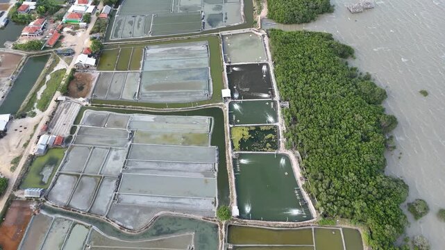Aerial View of Traditional Fish Ponds and Salt Fields on the Coast with Green Mangrove Forest