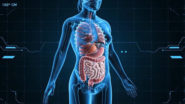Human Organs Medical Visualization for Pharma Advertising