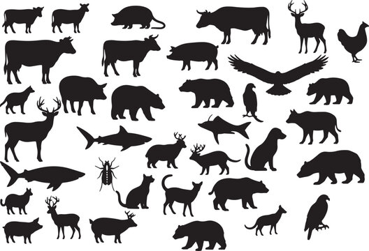 black silhouettes of various wild and domestic animals