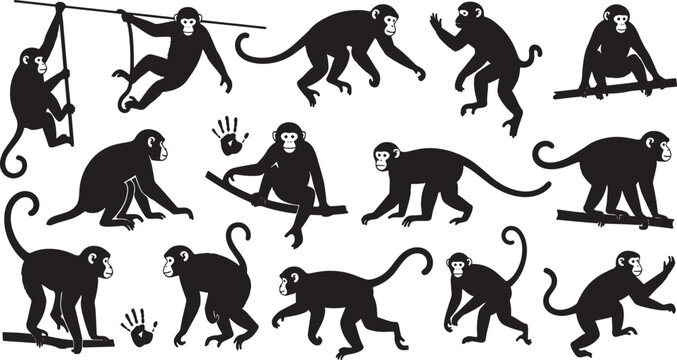 set of monkeys in different poses and actions