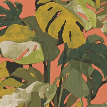 Vibrant green monstera plant leaves against a bright coral background moving gently.