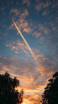 Commercial airplane leaving a long white contrail in the orange sunset sky above trees