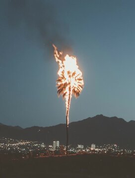 Tall palm tree burning with bright orange flames at night above a city landscape.