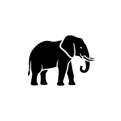 Fototapeta premium Elegant Silhouette of a Majestic African Elephant.