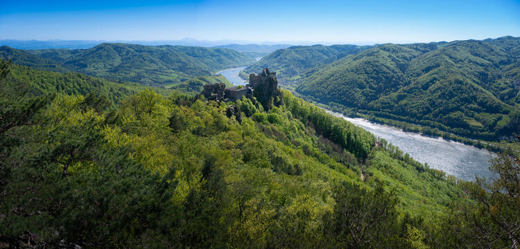 Wachaupanorama mit Burgruine Aggstein