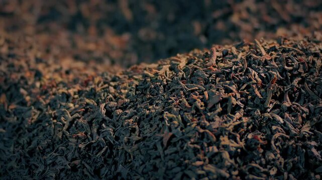 Piles Of Black Tea Moving Shot