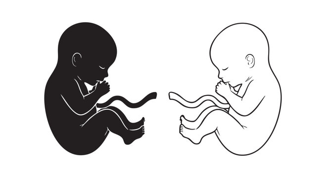 Human fetus silhouettes in black and outline style depicting prenatal development process isolated on white background.