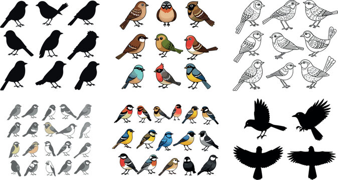 Bird silhouettes and colorful songbirds collection in various styles and poses for nature and wildlife design vector set
