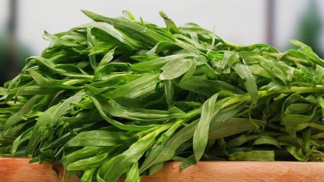 Tarragon leaves, bunch of tarragon on kitchen chef cooking dinner, middle eastern greens close up, macro. 