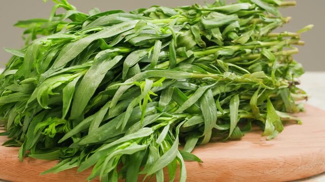 Tarragon leaves, bunch of tarragon on kitchen chef cooking dinner, middle eastern greens close up, macro. 
