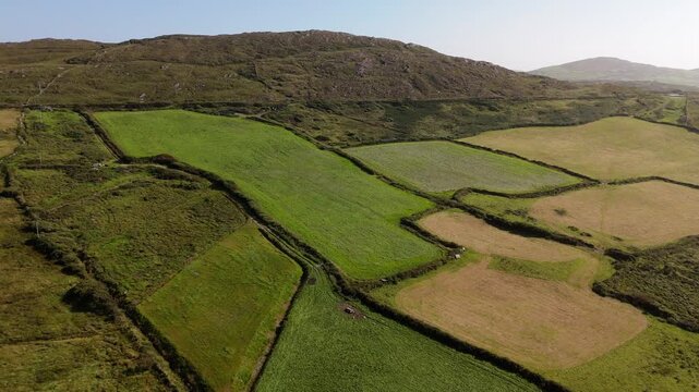 Aerial landscape shows varied green and brown fields divided by hedgerows and stone walls near rolling hills. This bright daytime image captures rural beauty.