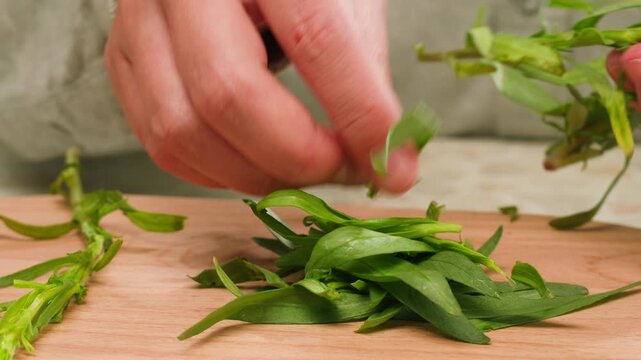 Tarragon leaves, bunch of tarragon on kitchen chef cooking dinner, middle eastern greens close up, macro. 