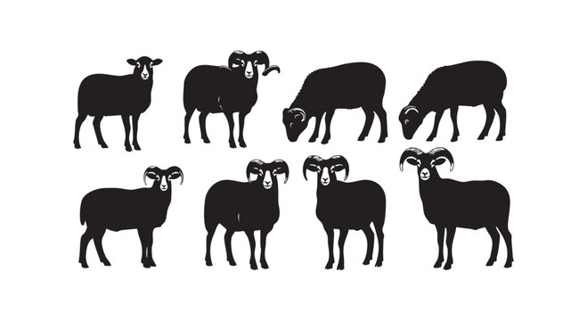Sheep and ram animals silhouettes set for farm branding design isolated on white background vector illustration.
