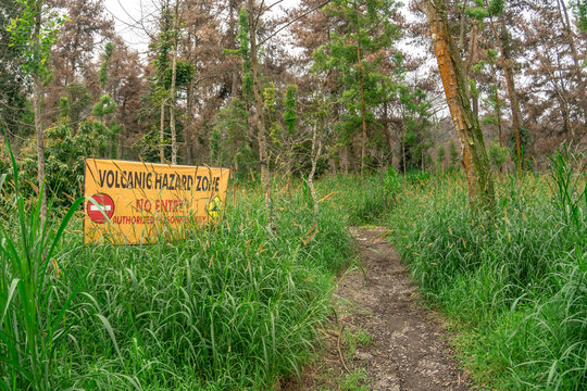 Forest path in Bali leading toward Mount Abang with volcanic hazard warning sign