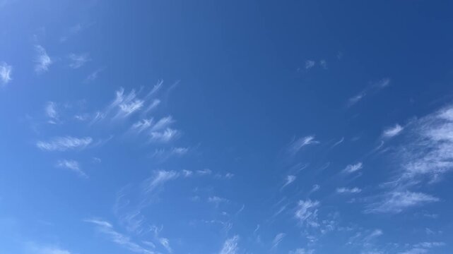 Azure Canvas: A cloud-kissed expanse of a vibrant blue sky, inviting viewers to gaze upward and lose themselves in the boundless beauty of nature's airy artwork.