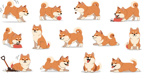 Fototapeta premium Cute Shiba Inu Dog Activity Set with Playing Running Sitting Eating and Digging Poses Cartoon Pet Character Collection Illustration