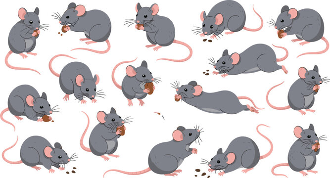 Cute Mouse Character Set with Different Poses Eating Running Sitting and Playing Cartoon Rodent Animal Collection Illustration