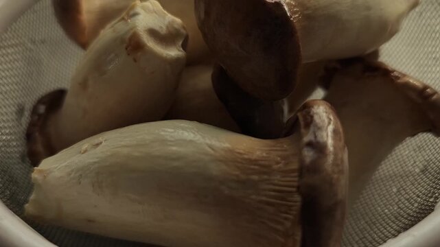 Close-up video of fresh king oyster mushrooms stacked together, organic edible mushrooms with brown caps and white stems, healthy food ingredient in natural kitchen setting