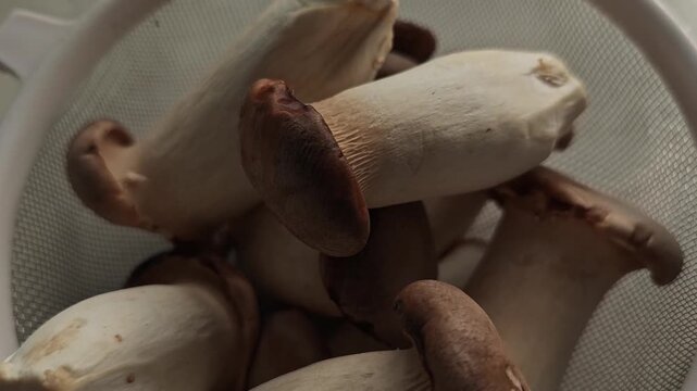 Close-up video of fresh king oyster mushrooms stacked together, organic edible mushrooms with brown caps and white stems, healthy food ingredient in natural kitchen setting