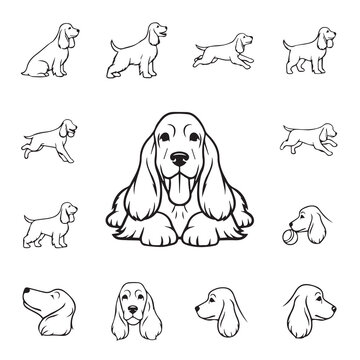 Cocker Spaniel dog poses and expressions line art vector illustration