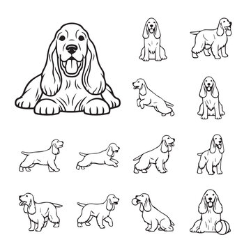 Cocker Spaniel dog poses in clean line art style for versatile design applications