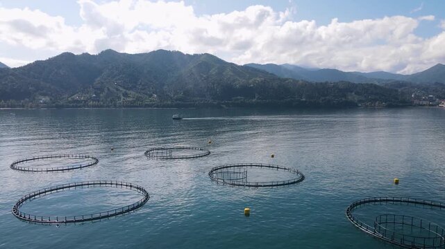 Footage of fish ponds, the main form of aquaculture. Salmon, sea bass, sea bream and trout are the most commonly grown fish in fish ponds used for commercial fishing in the sea, lakes and ponds.