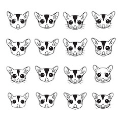 Fototapeta premium Cute sugar glider faces in a grid pattern with various expressions and stylistic variations
