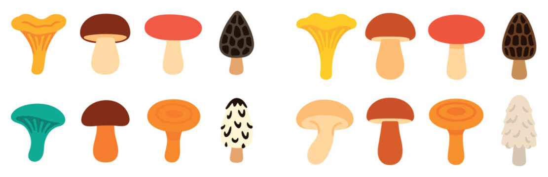Fungus icons with chanterelle morel porcini colorful