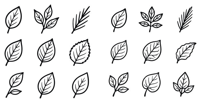Nature icons with leaf twig branch outline