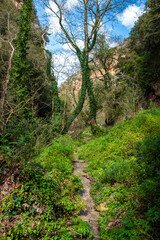 Fototapeta premium landscape at Patsos Gorge Agios Antonios Crete (Kreta) Greece