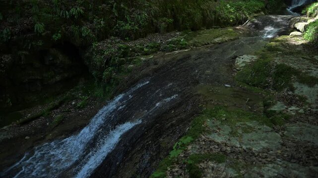 Twannbach Gorge, Switzerland - Clear water runs down a mossy rock in woodland, creating a small cascade in a shaded natural setting.