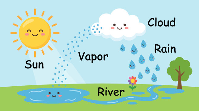 Cute cartoon illustration of the water cycle explaining evaporation condensation and precipitation