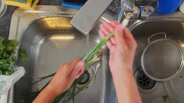 female hands washing green onions under water top view, kitchen cleaning process with rinsing fresh scallion stems, preparing ingredients for cooking, close-up action cleaning vegetables in sink