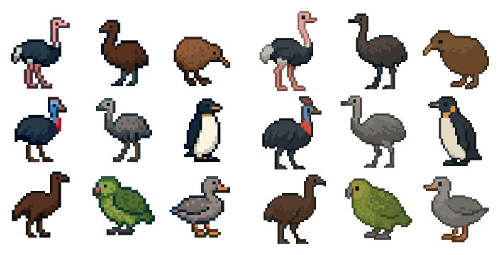 Bird icons with ostrich penguin parrot pixel