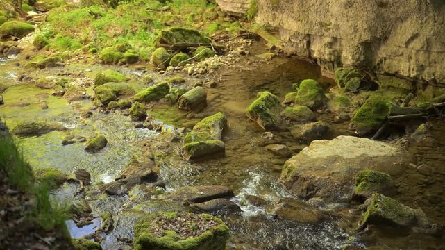 Twannbach Gorge, Switzerland - Clear stream running over stones with green moss in shaded woodland gorge, natural landscape background.