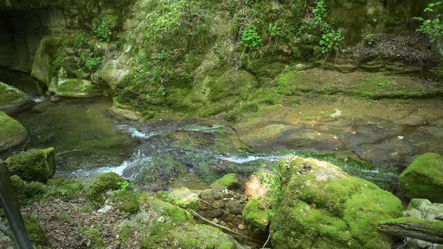 Twannbach Gorge, Switzerland - Clear water runs over stones in a shaded, moss-covered forest ravine.