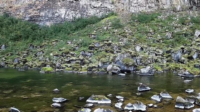 Cinematic tracking shot of serene pond and basalt cliffs
