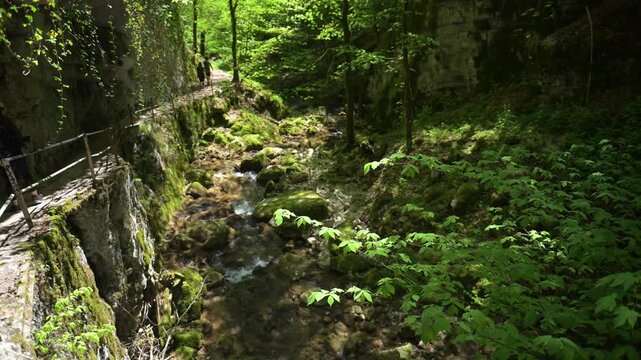 Twannbach Gorge, Switzerland - 25.04.2026: Shaded woodland creek flowing beside a narrow cliff path with railing, lush spring greenery and hikers in the distance.