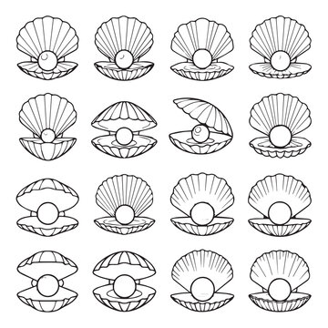 Open Oyster Shells with Pearls in Various Positions During a Simple Outline Drawing