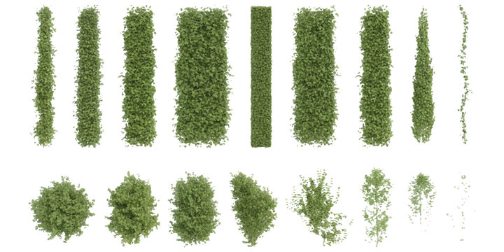 Set of green grass and bush texture brushes and shapes for garden and landscape design