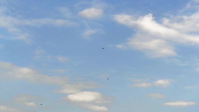 Group of skydivers with open parachutes descending against a beautiful blue sky with scattered white clouds. Adrenaline and extreme sport concept