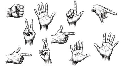 Fototapeta premium Set of hand gestures isolated on white showing different signs, signals and counting poses. A flexible visual toolkit for communication, instruction and universal messaging.