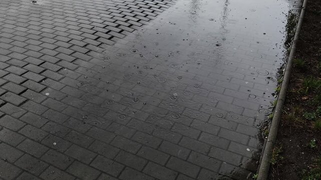 Raindrops falling on a wet gray sidewalk, creating ripples in a puddle. The downpour on a paved stone street during a gloomy day