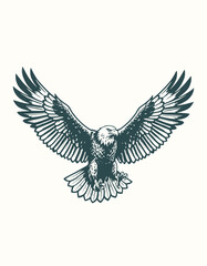 Obraz premium Vintage Style Bald Eagle Illustration with Spread Wings