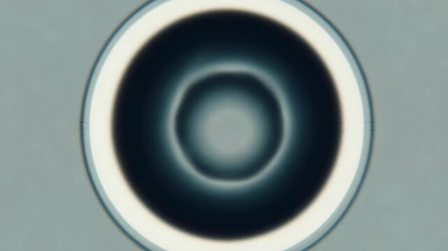 Abstract circular shape with smooth gradient style on a soft gray background, representing minimalism and modern simplicity