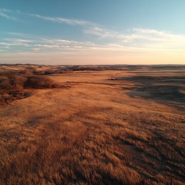 Drone aerial view of a rewilded prairie with tallgrass during golden hour, showcasing vast natural beauty and warm lighting