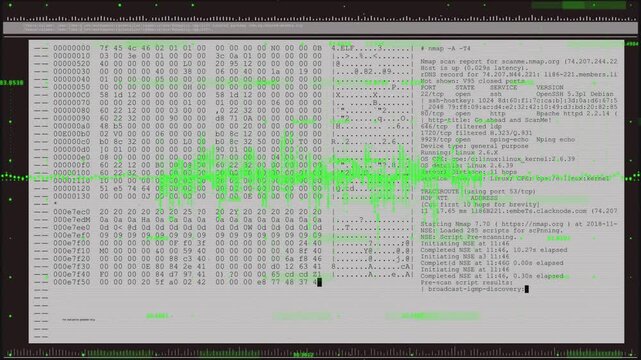 Waveform pulsing revealing terminal hex dump scrolling cursor moving parsing services for analysis