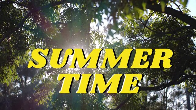 Vertical video: Rustling leaves veiling sun, shifting lens flare over center SUMMER TIME at park